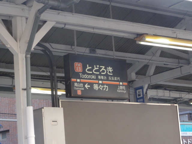 東急大井町線 全駅走破! 等々力駅