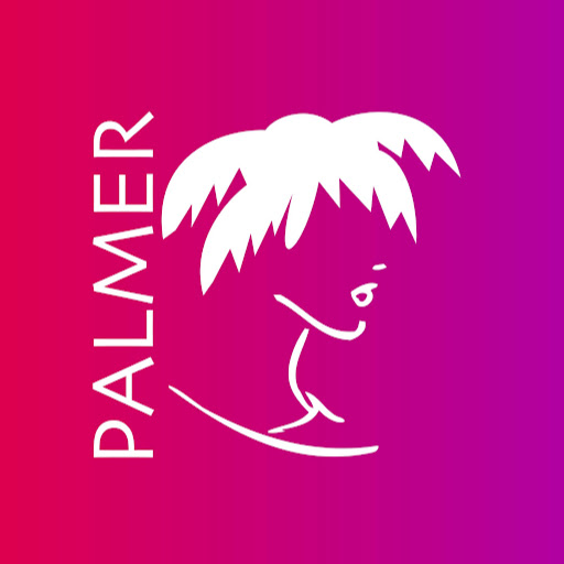 Palmer School - Scuola per Parrucchieri logo