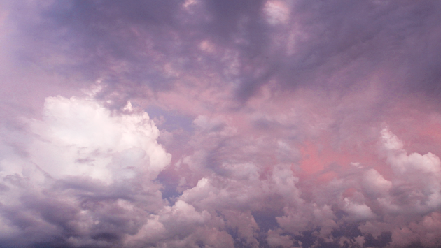 Cover photo
