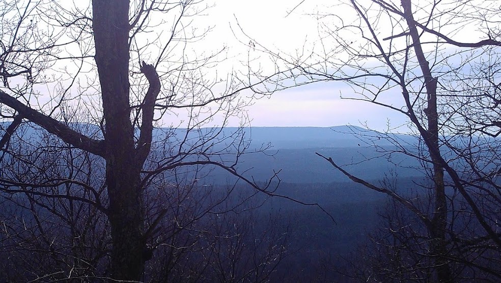 view