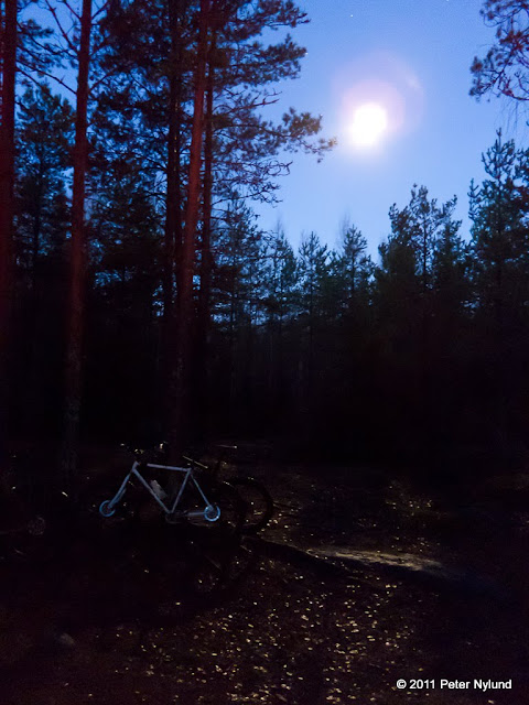 beer ride