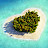 Abbstar x avatar image