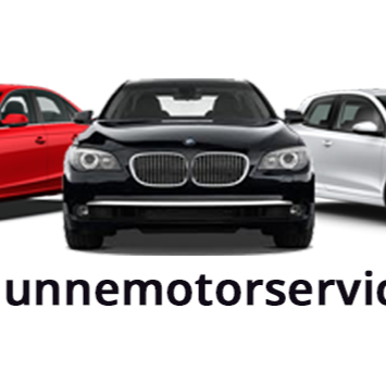 Dunne Motor Services logo