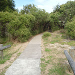 Sealed foot path on the Owens Walkway in Redhead (390830)