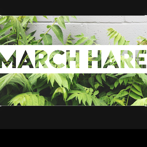March Hare logo