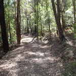 Blue Hill trail (234821)