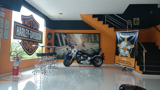Harley Davidson do Brasil, Av. do Turismo, 2539 - Tarumã, Manaus - AM, 69037-005, Brasil, Vendedor_de_Motorizadas, estado Amazonas