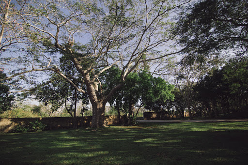 Hacienda Selva Maya, Carretera Federal Valladolid-Mérida Km. 3.5, Entronque a Dzitnup, 97780 Valladolid, Yuc., México, Organizador de eventos | YUC