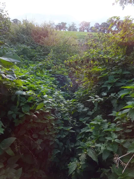 Blocked footpath at Horning