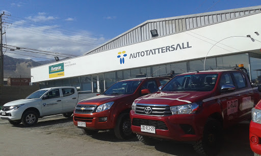 AutoTattersall - Antofagasta, Lapislázuli 588, Antofagasta, Región de Antofagasta, Chile, Concesionario de autos | Antofagasta