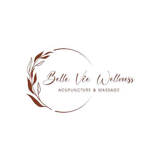 Belle Vie Wellness LLC logo