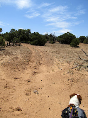 Following old 4WD route to Point 6,648