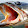Harijanto Puyeh Harijanto Puyeh's profile photo