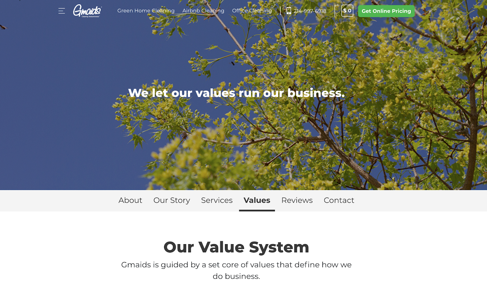 Screenshot of Gmaid's values page 