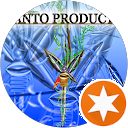 Santo Products