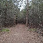 Track parallel to Bondi Lake (106786)