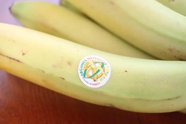 close-up photos of bananas