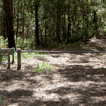 Stroms Fire Trail Gate (21890)