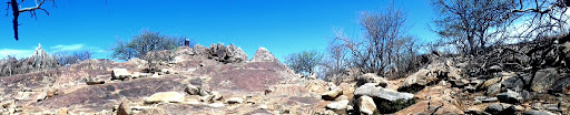 Photos of Peet Alberts Rock Engravings