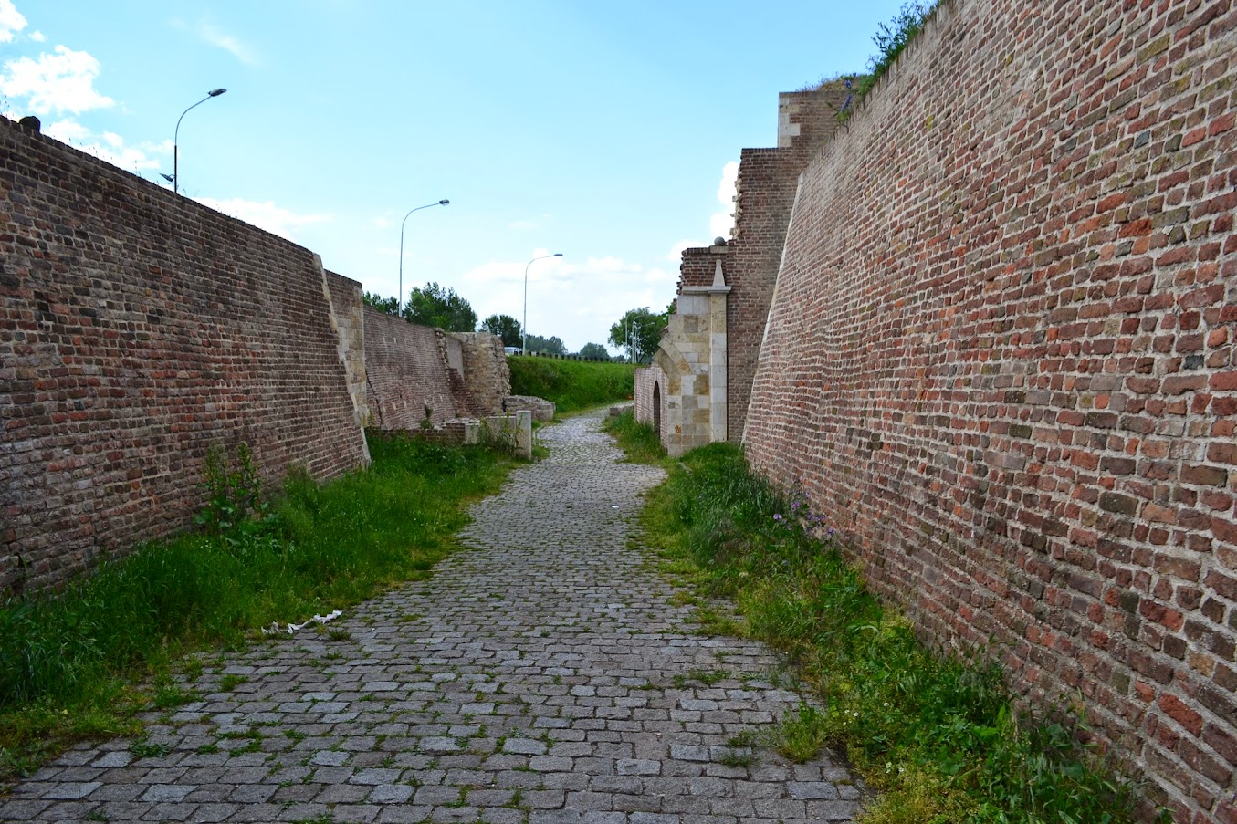 DSC_0945.JPG