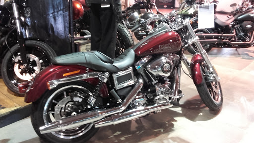 Harley Davidson Massilia