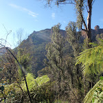 View from Grose Valley (49001)