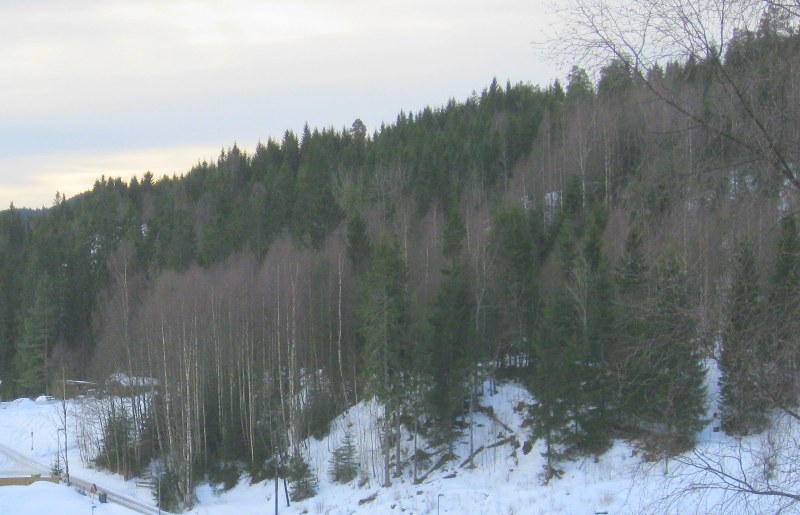 29.02.12