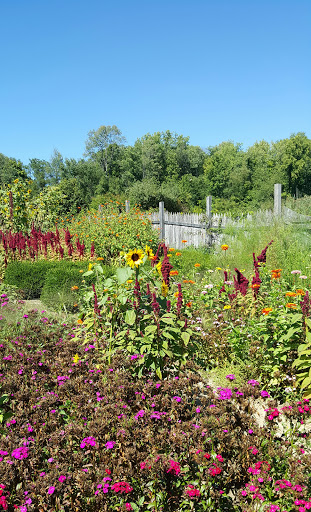 Hale Farm & Village