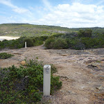 Track and timber track markers in the Wallarah Pennisula (388067)