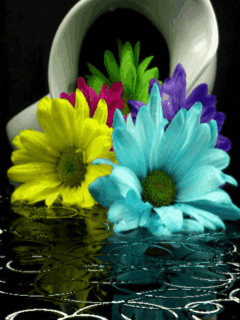 Cvijeće u vodi download besplatne animacije za mobitele