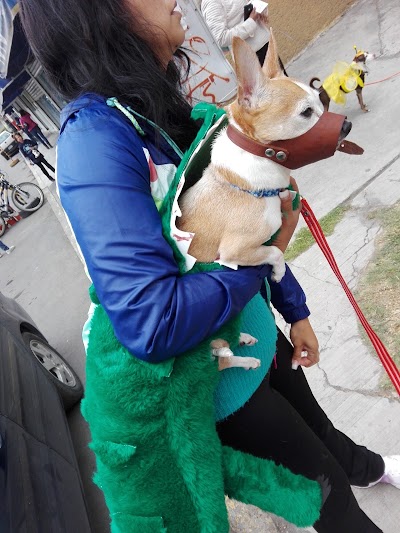Photos of Healthy Pets Veterinaria Coacalco