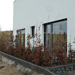 Unsere "Hecke" Unsere "Hecke"