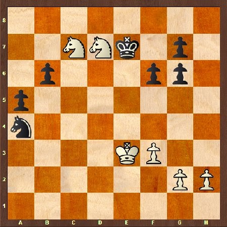 robbolito chess