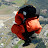 Michael Hahn avatar image