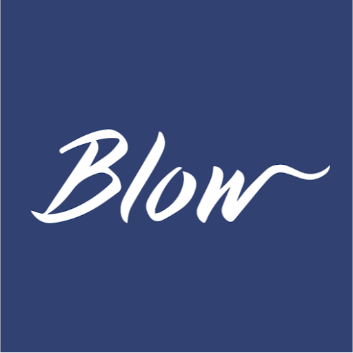 Blow Salons logo