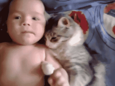 TERNURA .... Cat-and-baby-cuddling