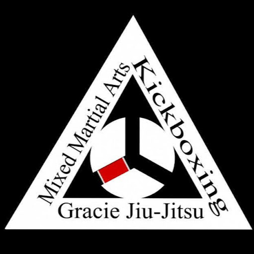 All-American Martial Arts Academy TEAM GAMMA logo