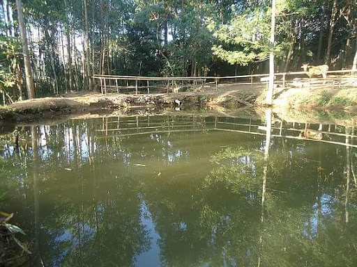 Clinica de Recuperação Prime Mairinque, Mairinquei Cebandilha, Mairinque - SP, 18120-000, Brasil, Clnica_de_Reabilitao, estado São Paulo