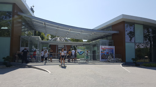 The Sea Garden