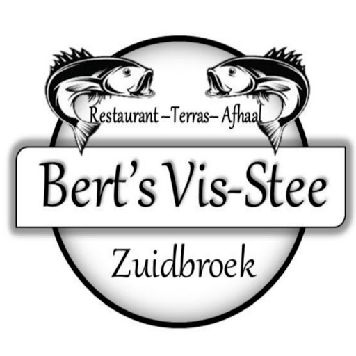 Bert's Vis-Stee logo