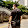 Dedi Suparman Dedi Suparman's profile photo