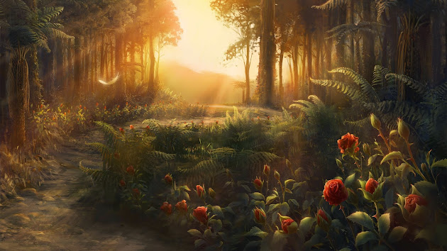 Cover photo