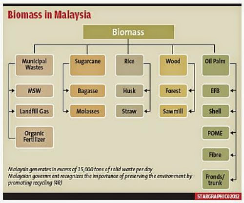 Malaysian Palm Oil Millers Tap In To Huge Biogas Potential