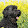 Lars Eich Lars Eich's profile photo