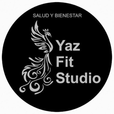 YazFitStudio logo