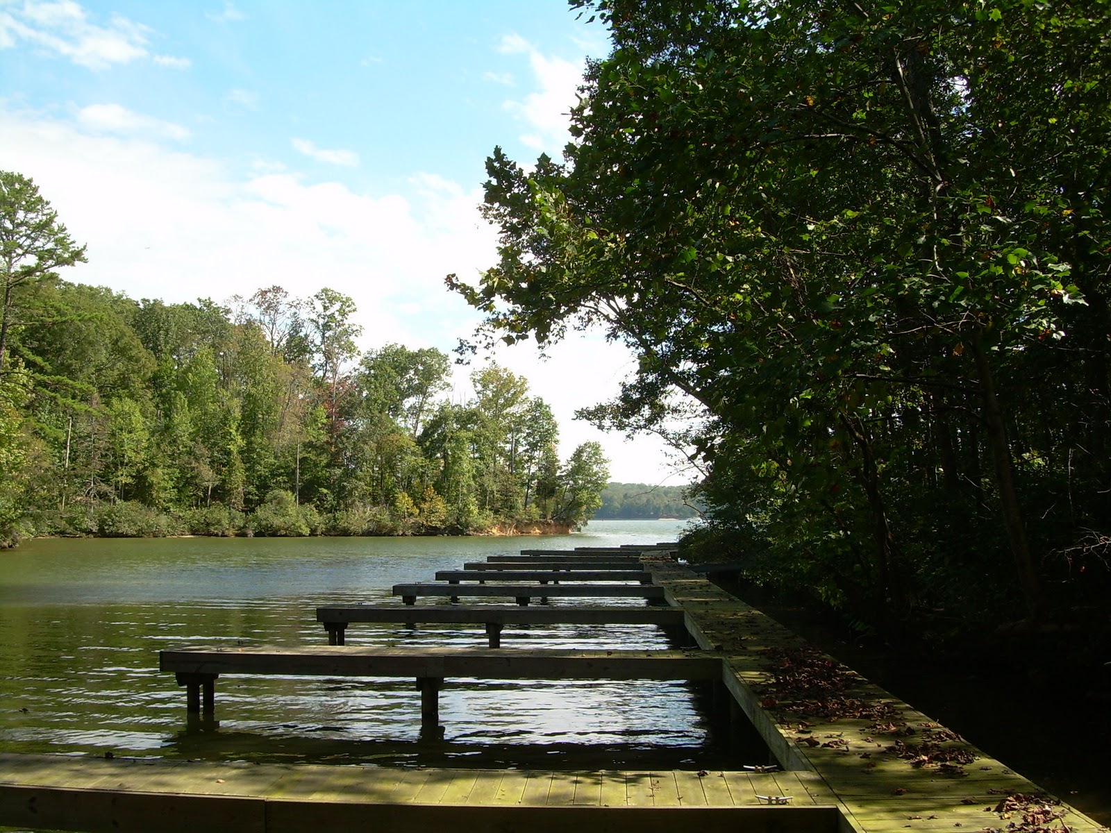 Watts Bar Lake Musings Lake Access Lot in Emerald Pointe Circle