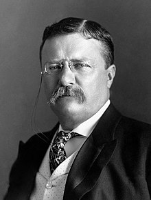 Image result for theodore roosevelt