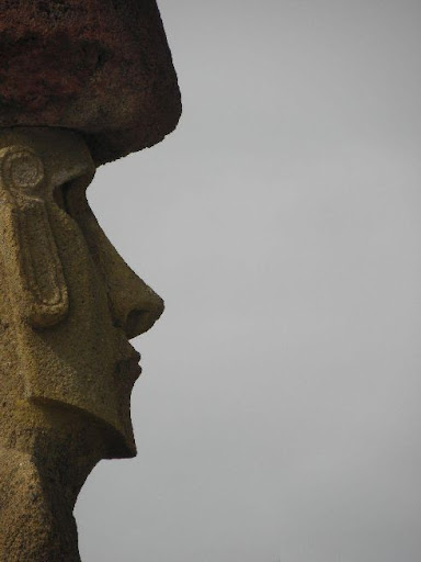 Face profile Face profile