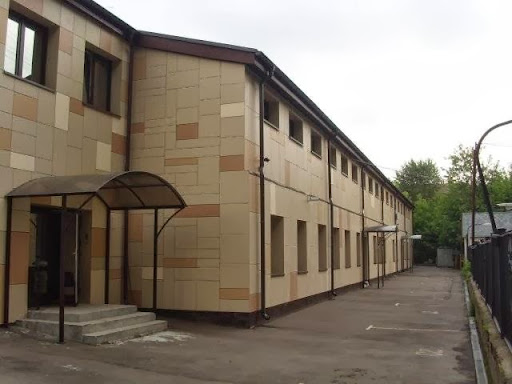 Шелби реальные фото: найдено 89 картинок