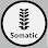 Somatic - Pet Food Store in Portland Oregon